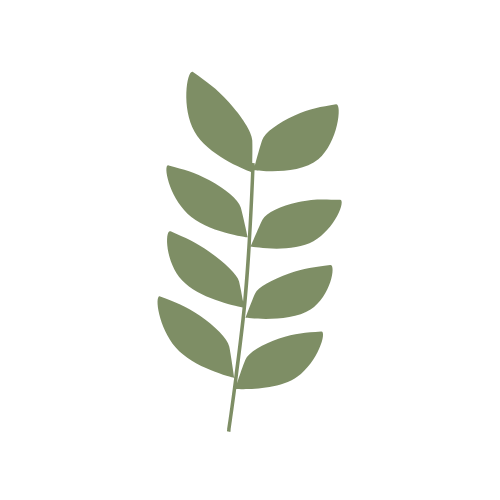 TENUES de Femmes neemt haar verantwoordelijkheid op verschillende punten.